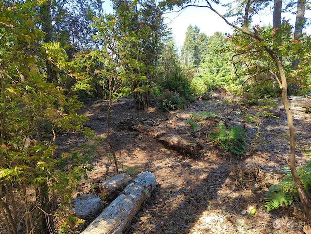 2100 266th Pl, Ocean Park, WA 98640 - photo 8