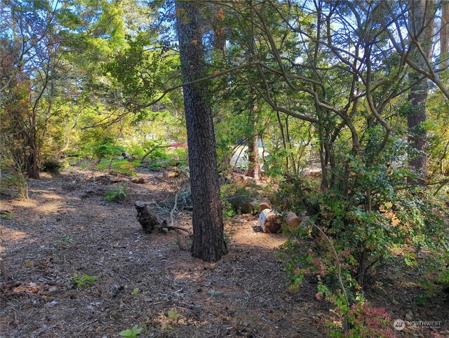 2100 266th Pl, Ocean Park, WA 98640 - photo 9