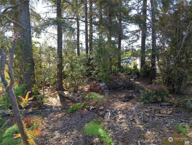 2100 266th Pl, Ocean Park, WA 98640 - photo 13