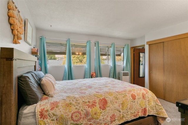 carpeted bedroom featuring radiator and a closet