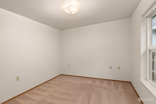 carpeted spare room with a textured ceiling