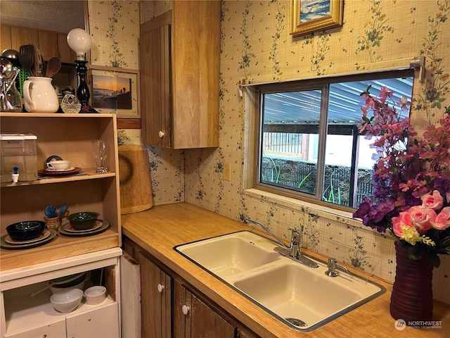 kitchen with sink