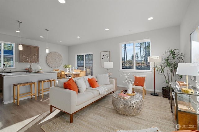 living room with sink and light hardwood / wood-style flooring