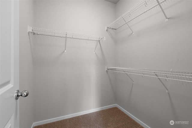 view of walk in closet