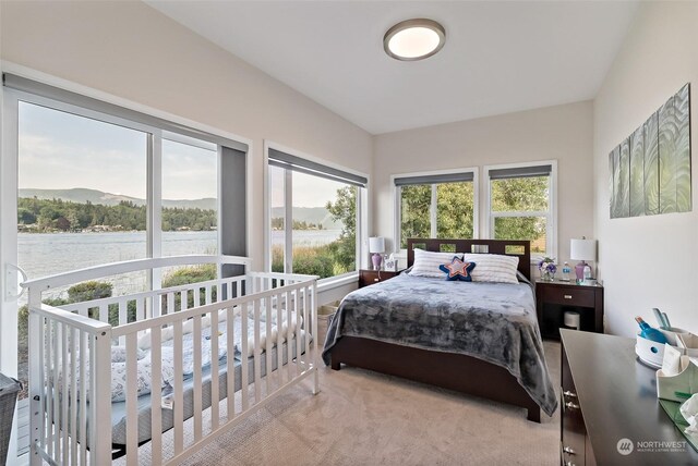 1558 Fairview St, Bellingham, WA 98229 - bedroom with a water view and carpet flooring