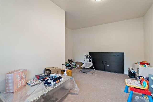 1558 Fairview St, Bellingham, WA 98229 - recreation room featuring carpet flooring