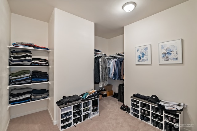 spacious closet featuring carpet flooring