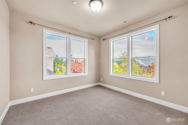 carpeted spare room with a wealth of natural light