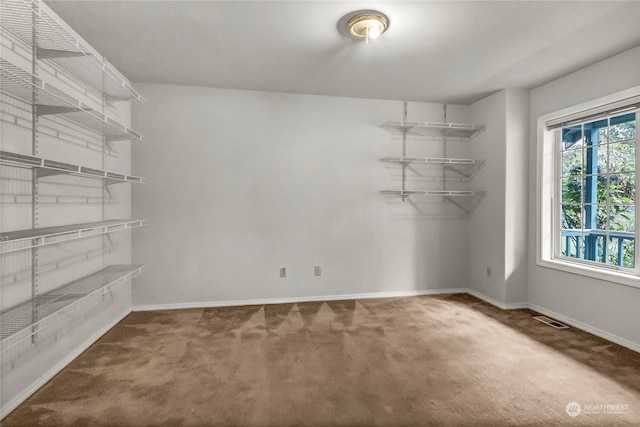 unfurnished room with carpet flooring