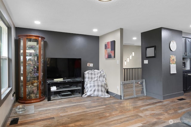 living room with wood-type flooring