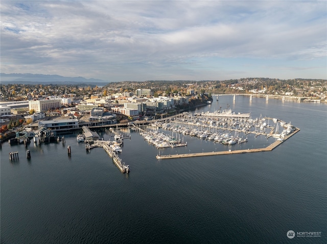 bird's eye view featuring a water view