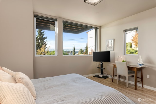 bedroom featuring light hardwood / wood-style flooring