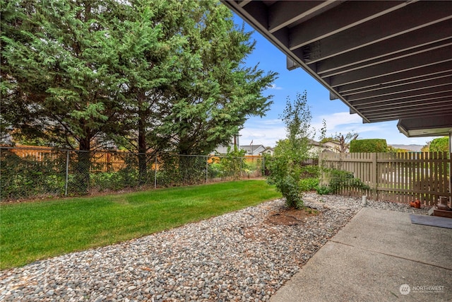 view of yard featuring a patio