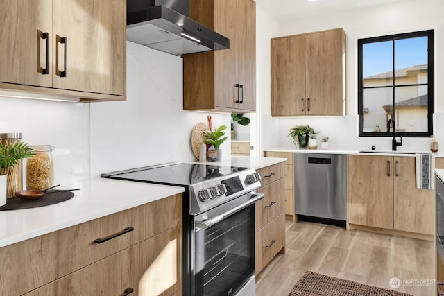 kitchen with sink, light hardwood / wood-style floors, wall chimney range hood, and stainless steel appliances