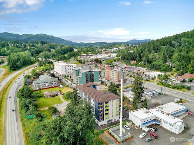 birds eye view of property featuring a mountain view