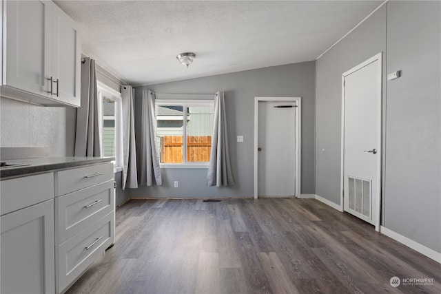 interior space featuring a textured ceiling, lofted ceiling, and dark wood-type flooring