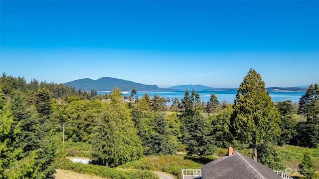5320 Ferry Terminal Rd, Anacortes, WA 98221 - photo 4