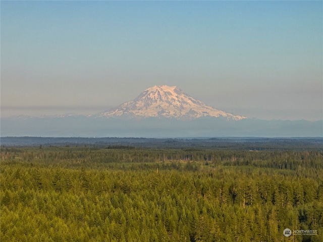 view of mountain feature