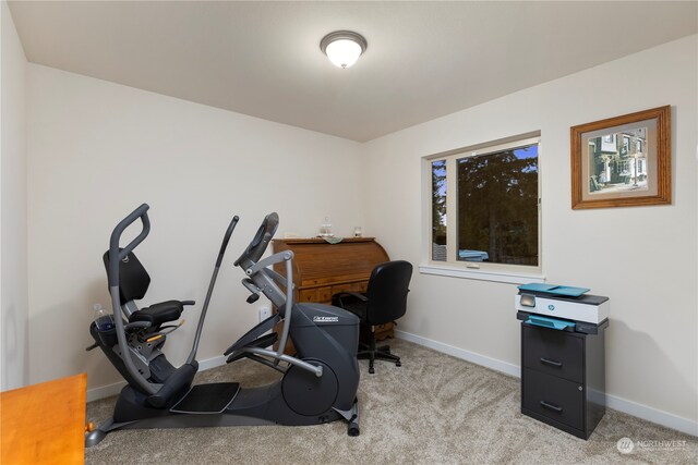 workout room with light colored carpet