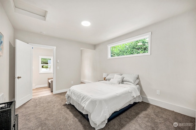 bedroom with connected bathroom and carpet