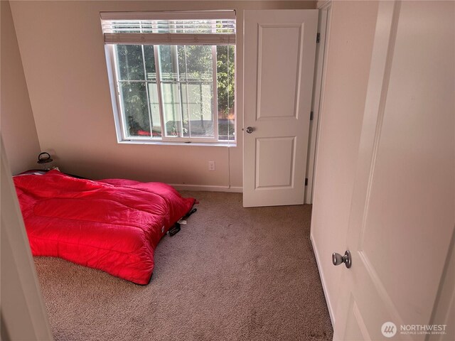 7046 Tahoe Dr SE, Tumwater, WA 98501 - photo 19