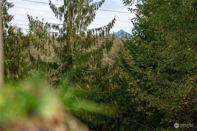 view of local wilderness