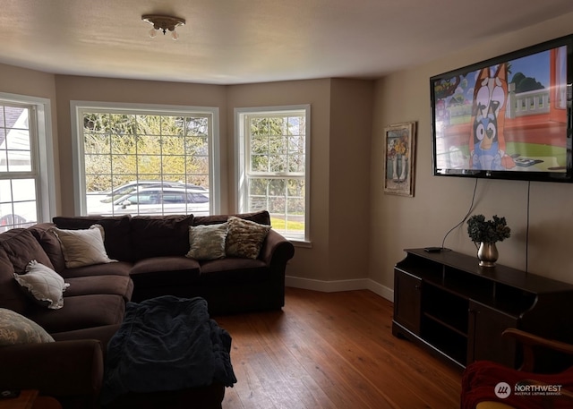 living room with hardwood / wood-style floors