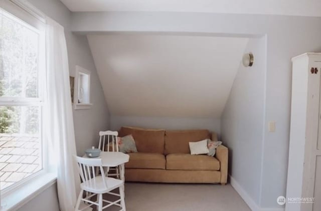 interior space featuring lofted ceiling