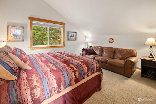 261 Tiger Lily Ln, Ronald, WA 98940 - bedroom with lofted ceiling and carpet flooring