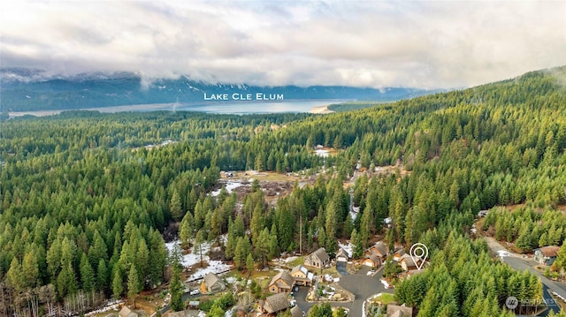 261 Tiger Lily Ln, Ronald, WA 98940 - bird's eye view of a forest