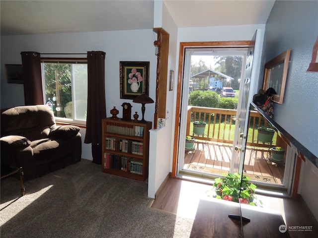 doorway with dark carpet and a healthy amount of sunlight