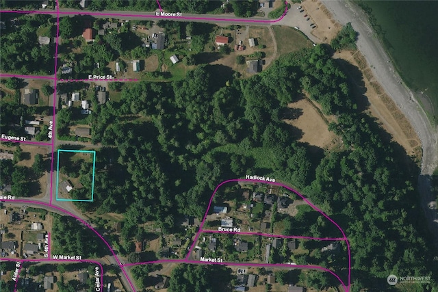 781 Irondale Rd, Port Hadlock, WA 98339 - map location
