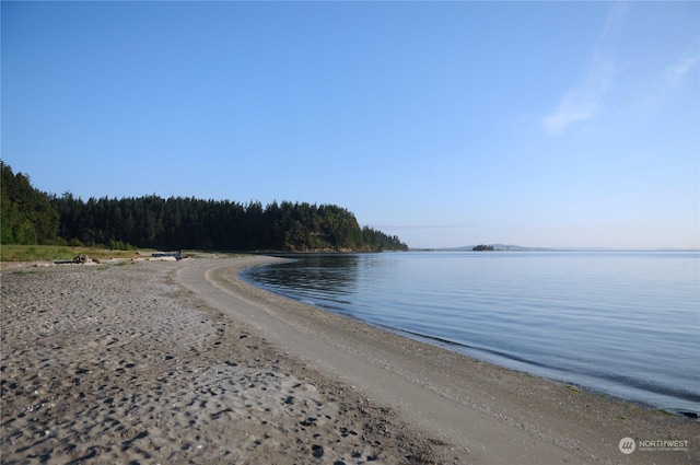 781 Irondale Rd, Port Hadlock, WA 98339 - water view featuring a view of trees