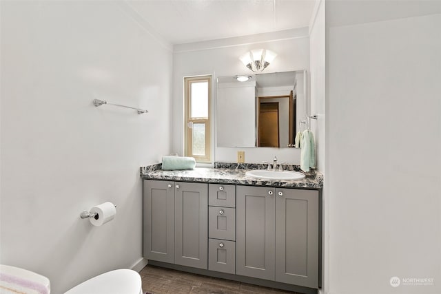 bathroom featuring vanity, toilet, and hardwood / wood-style floors