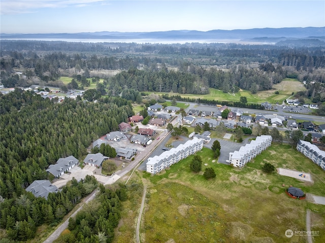 drone / aerial view with a mountain view