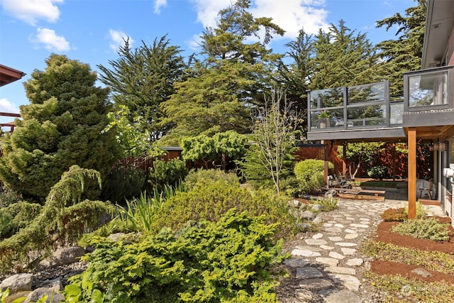 view of yard with a patio