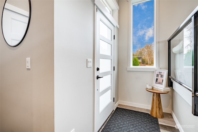 doorway featuring wood-type flooring