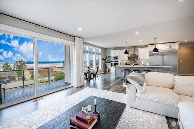 living room featuring dark hardwood / wood-style floors