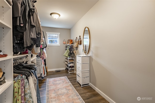 walk in closet featuring dark wood-type flooring