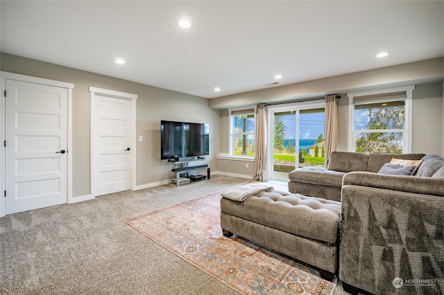 carpeted living room featuring a healthy amount of sunlight