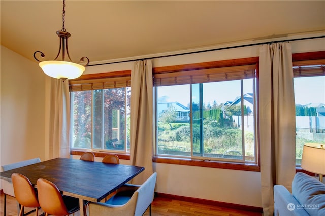 dining area featuring hardwood / wood-style floors