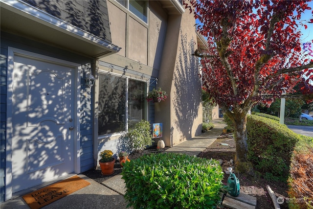 view of entrance to property