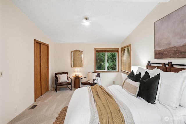 carpeted bedroom with lofted ceiling and a closet