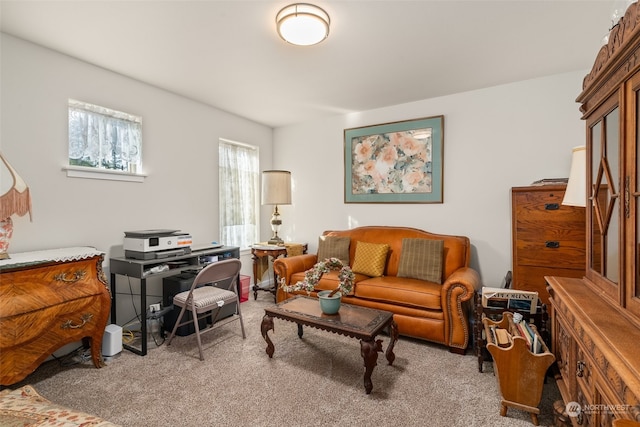 view of carpeted home office