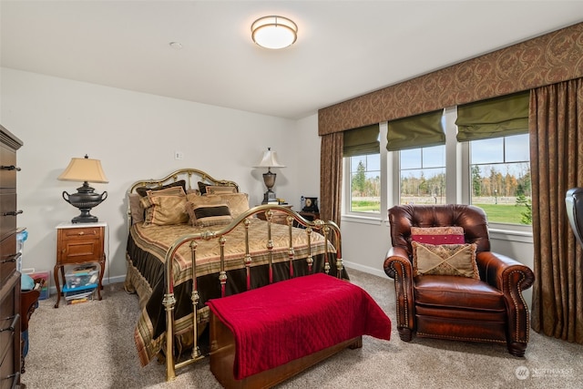 bedroom featuring carpet