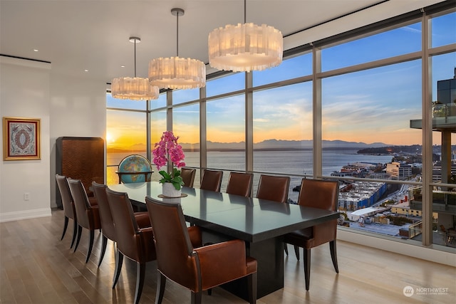 dining room featuring a water view and wood-type flooring