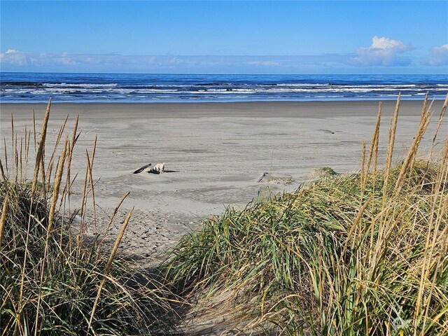 34600 G St, Ocean Park, WA 98640 - photo 25