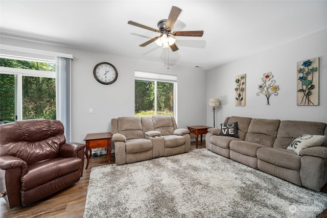 living room with ceiling fan, plenty of natural light, and light hardwood / wood-style floors