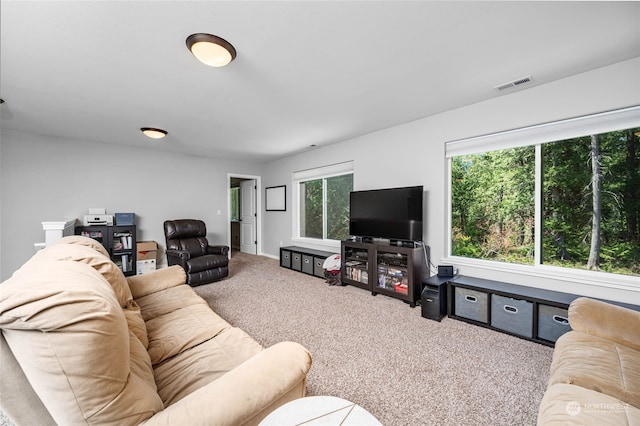 living room featuring carpet and a wealth of natural light