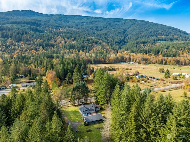 bird's eye view with a mountain view